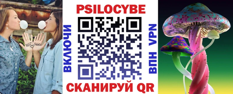 kraken как зайти  Купино  Галлюциногенные грибы Cubensis 